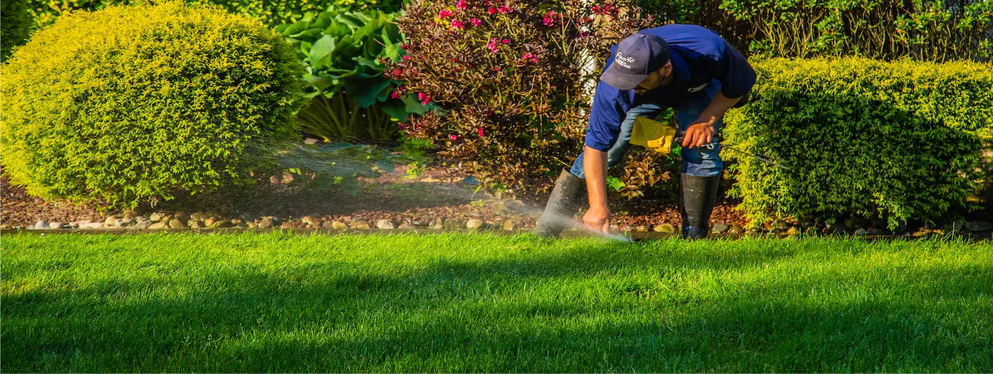 Shared homepage promo band (Header / 50)