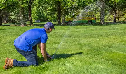 lawn sprinkler head spraying water