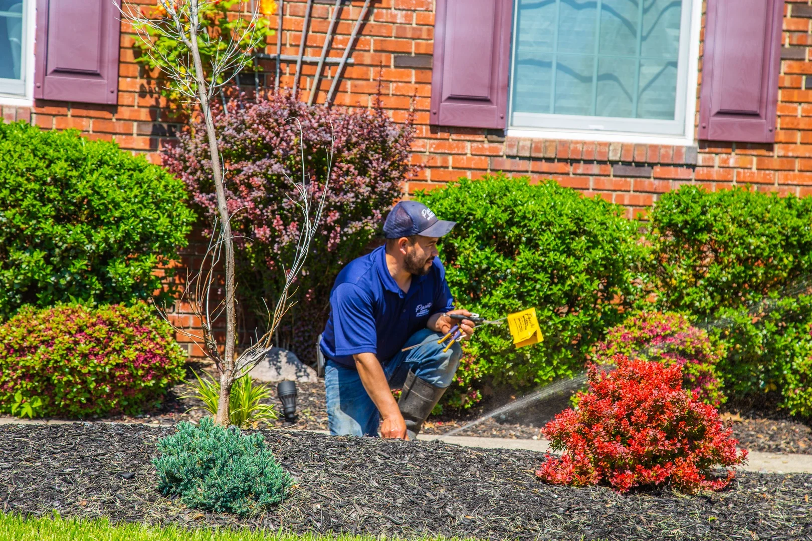 Spring sprinkler start-up