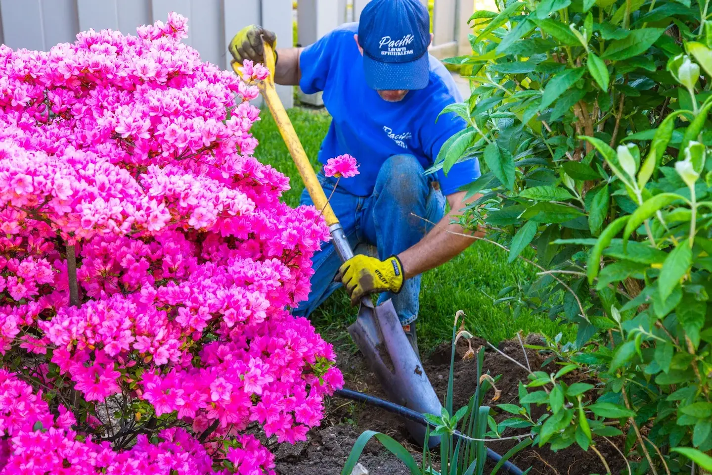 Pacific Lawn Sprinklers maintenance program visit