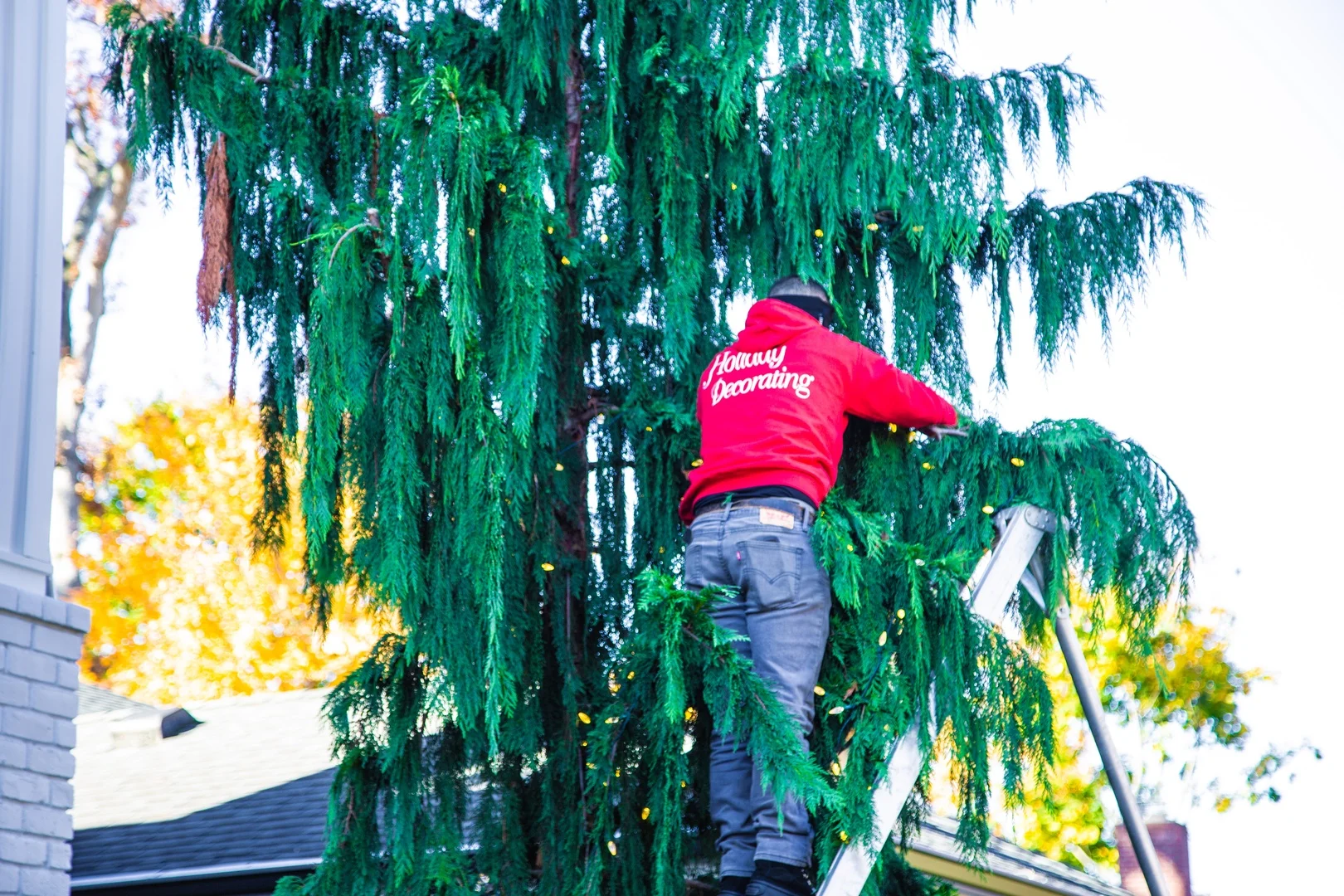 Holiday lighting installed by Pacific Lawn Sprinklers