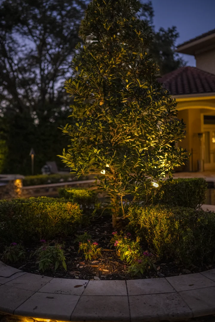Landscape lighting installed by Pacific Lawn Sprinklers